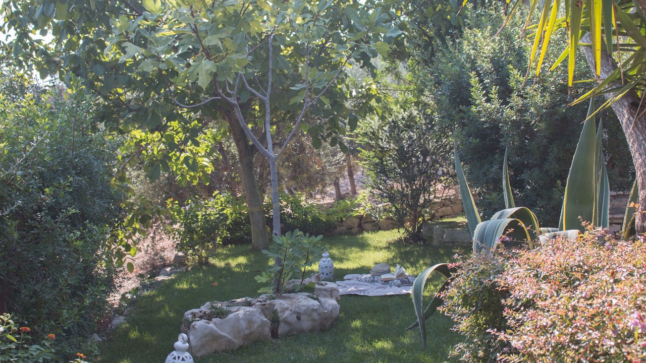 Photo of Outdoor in L'Assunta