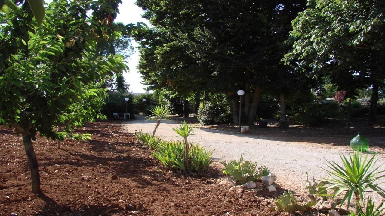 Photo of Outdoor in Cisternino