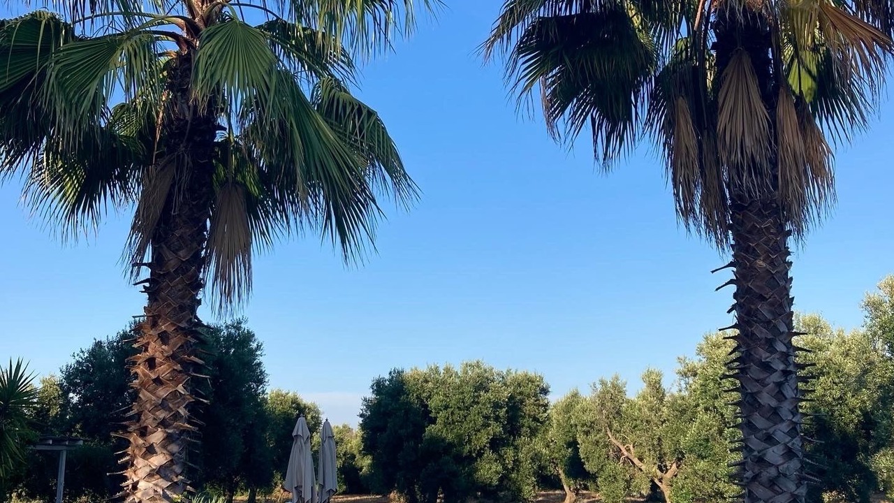 Photo of Outdoor in Ceglie Messapica