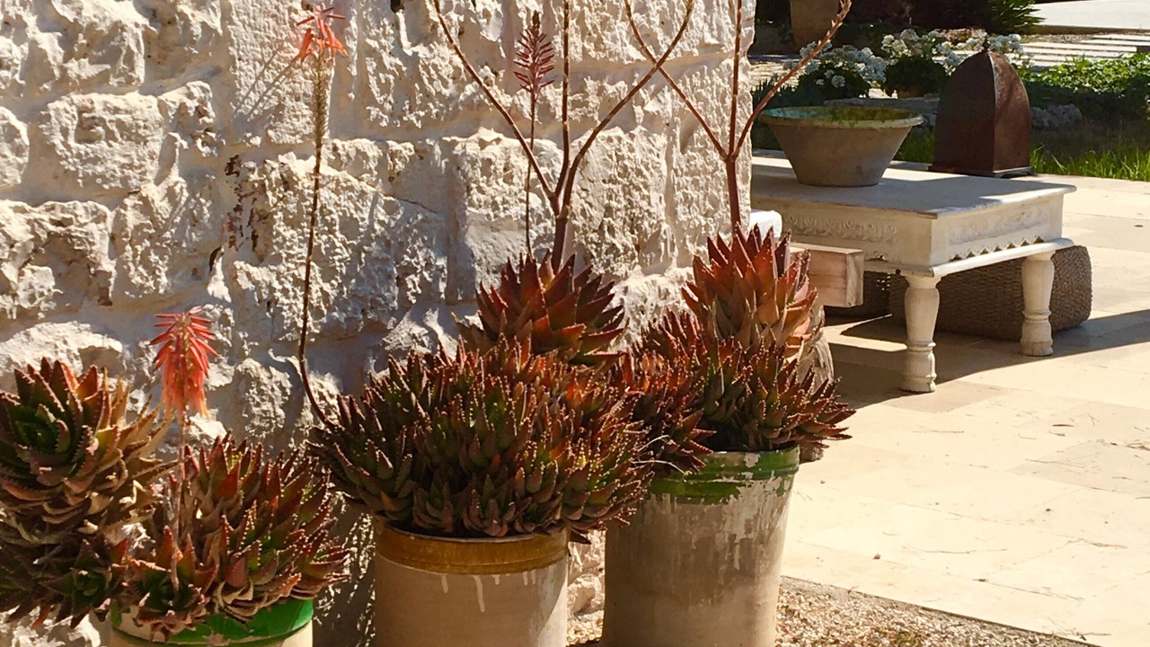 Photo of Outdoor in Ceglie Messapica