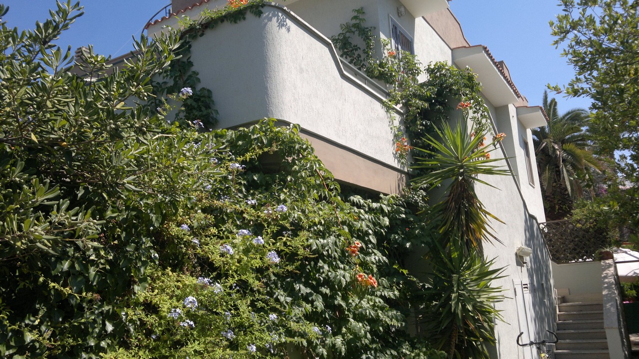 Photo of Outdoor in Baia Verde
