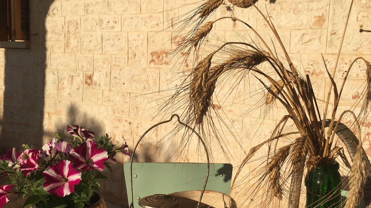 Photo of Outdoor in L'Assunta