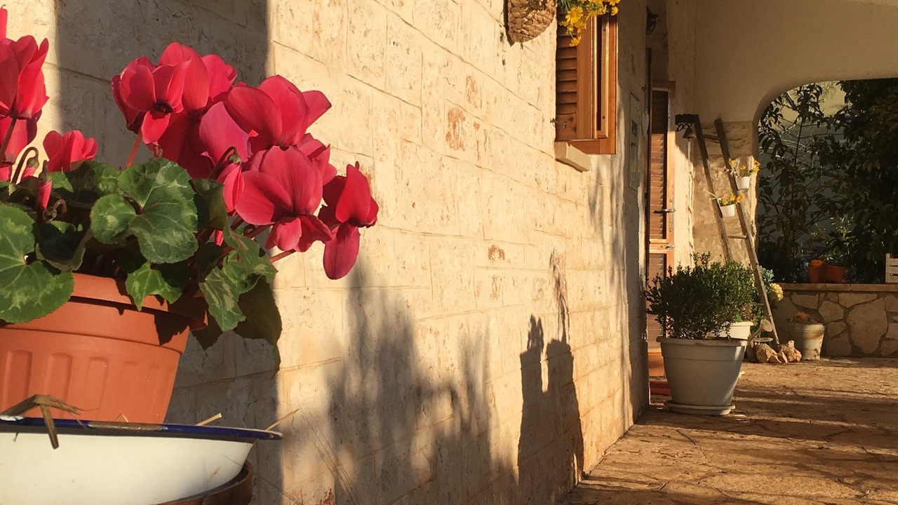 Photo of Outdoor in L'Assunta