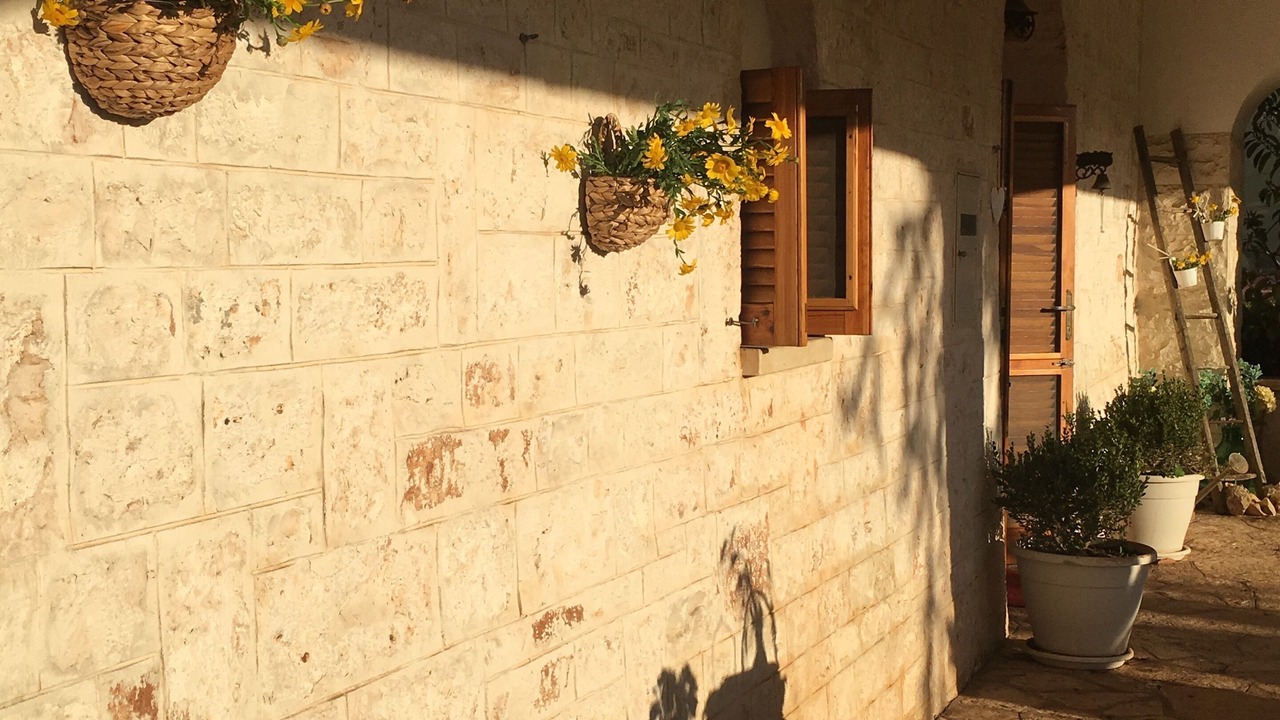 Photo of Outdoor in L'Assunta