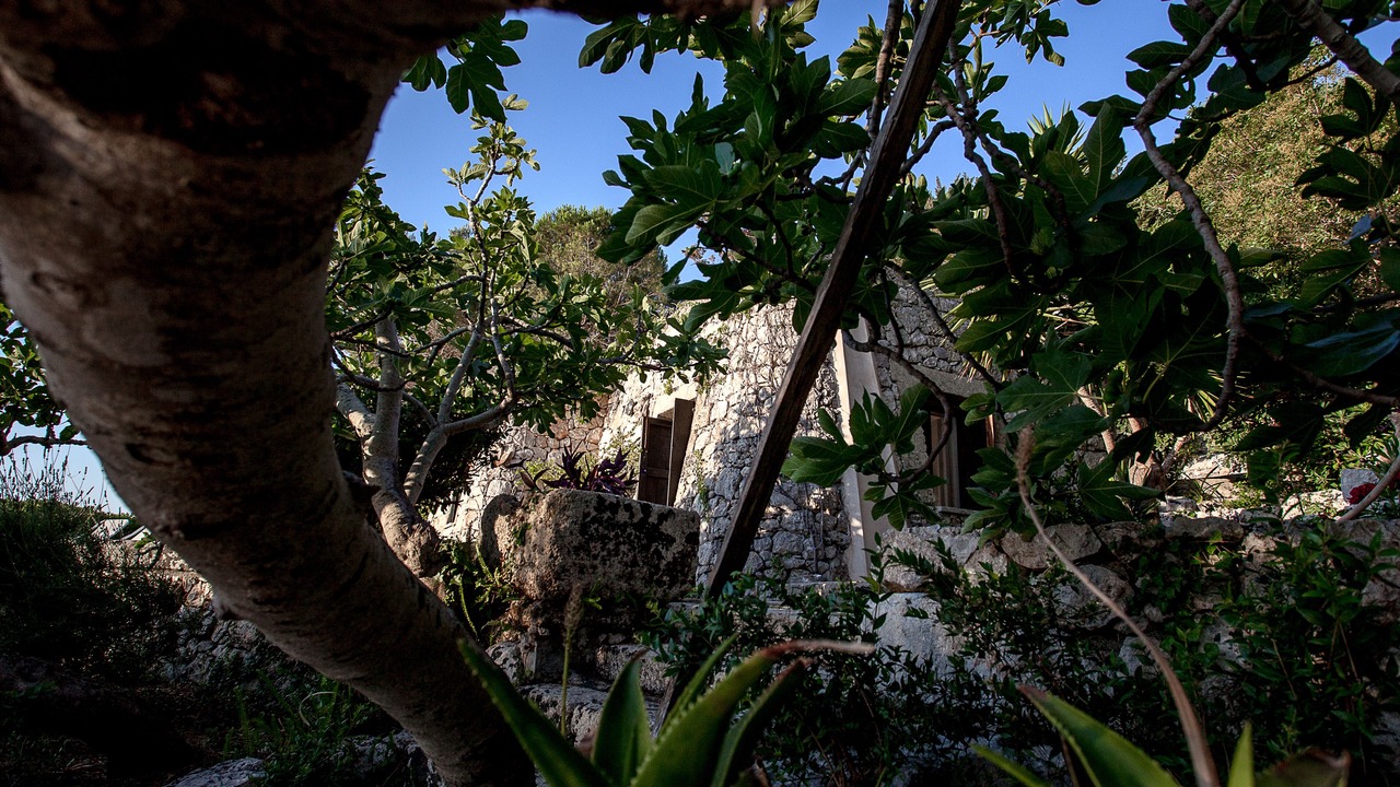 Photo of Outdoor in Porto Tricase