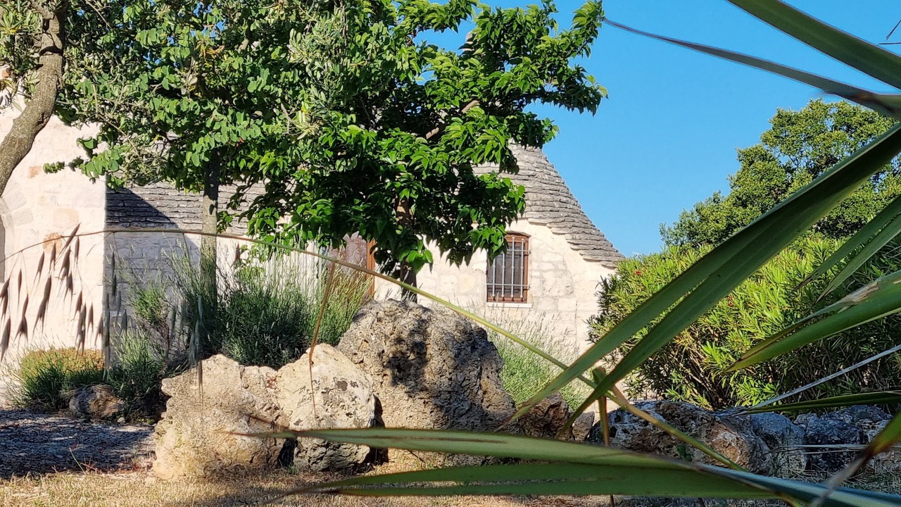 Photo of Outdoor in Alberobello