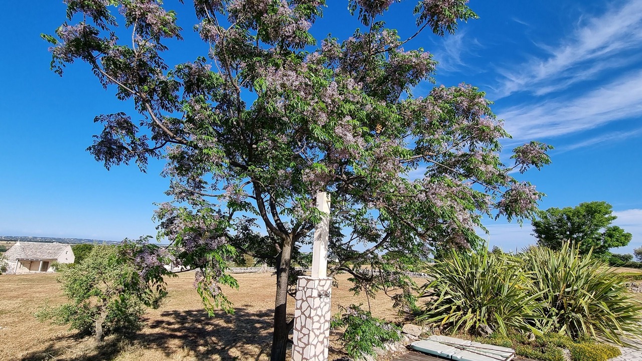 Photo of Outdoor in Alberobello