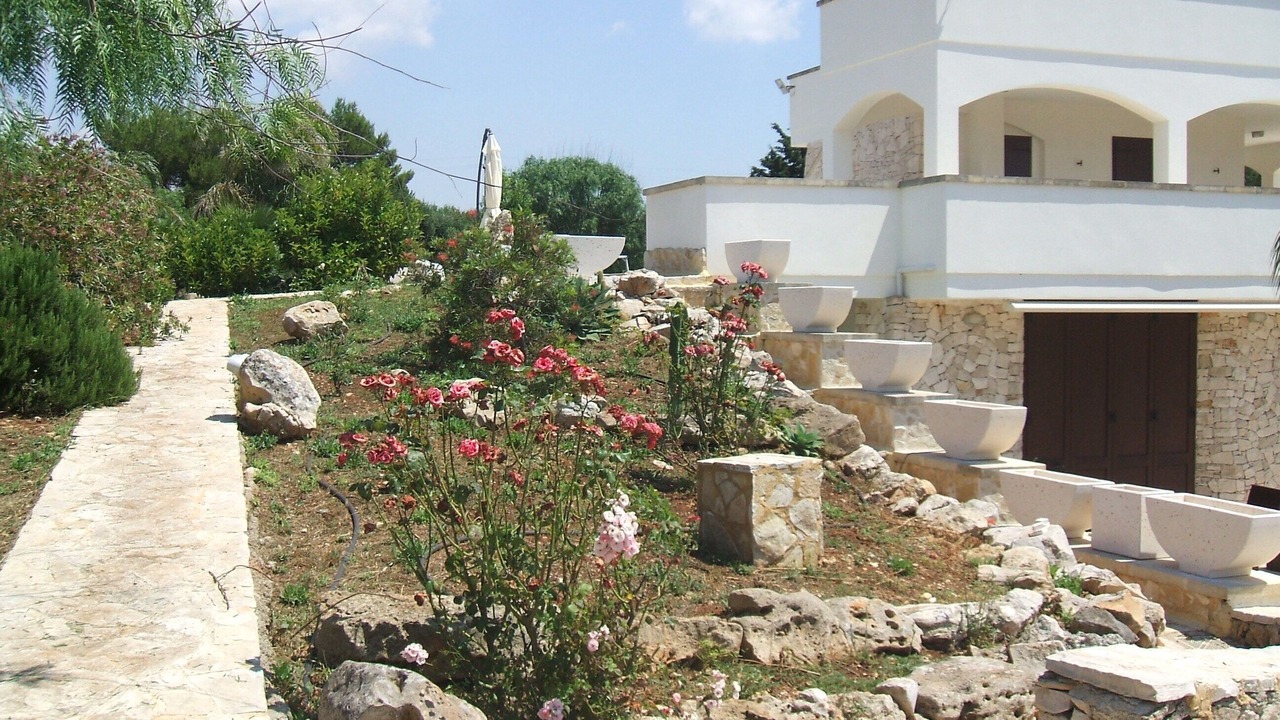 Photo of Outdoor in Marina San Gregorio