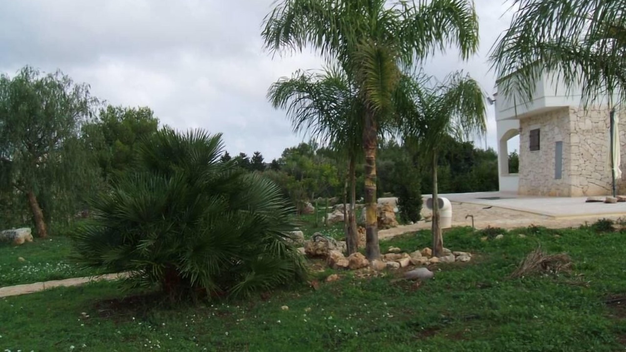 Photo of Outdoor in Marina San Gregorio