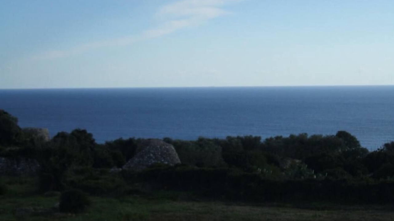 Photo of Others in Marina San Gregorio