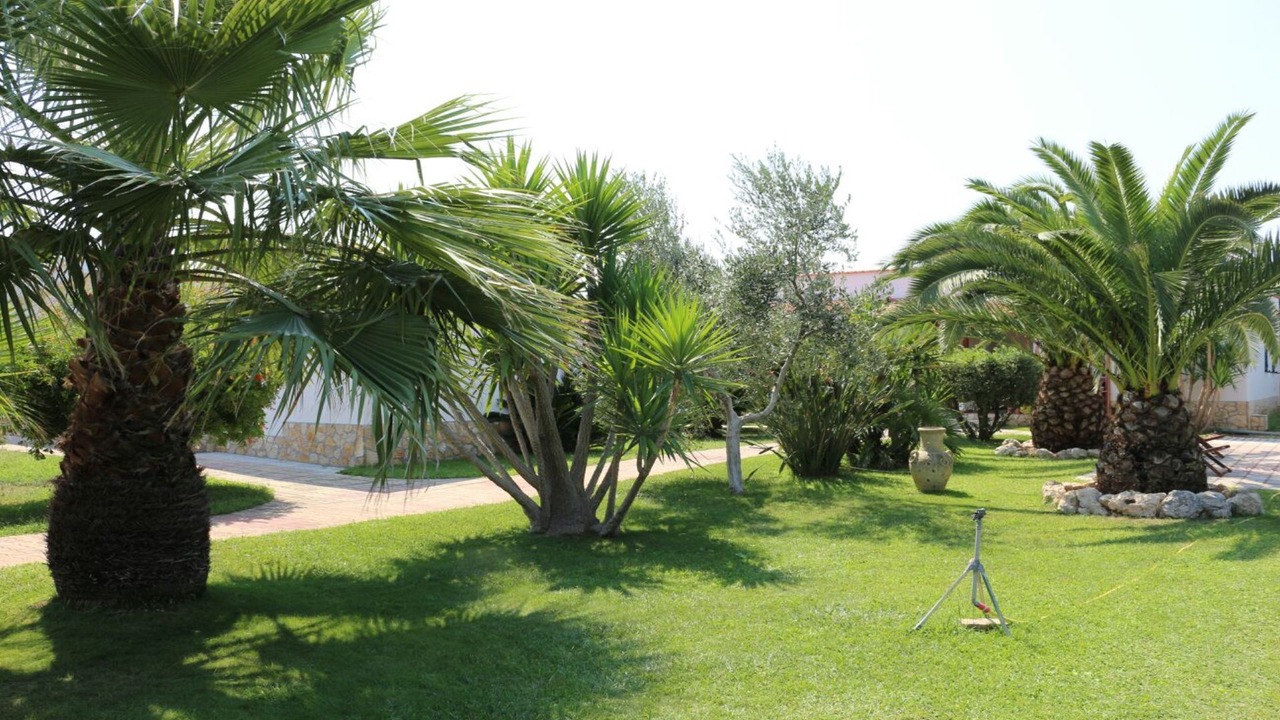 Photo of Outdoor in Peschici