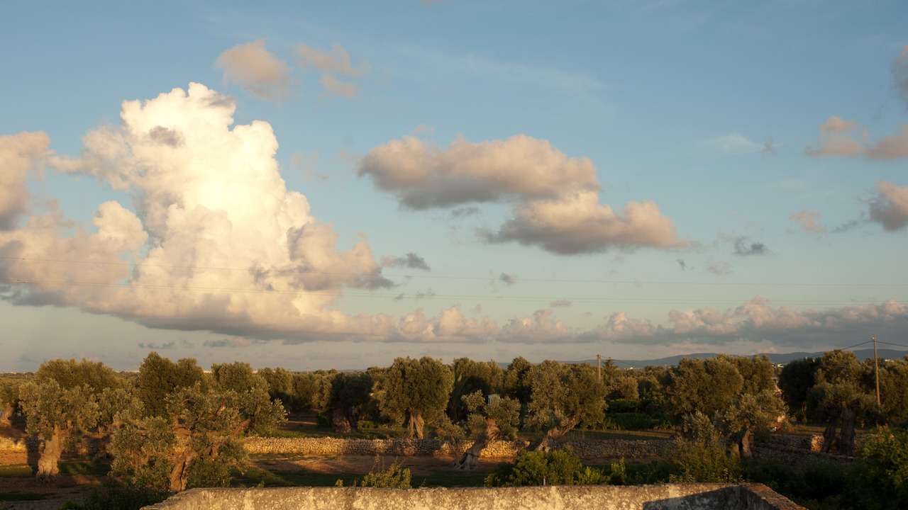 Photo of Outdoor in L'Assunta