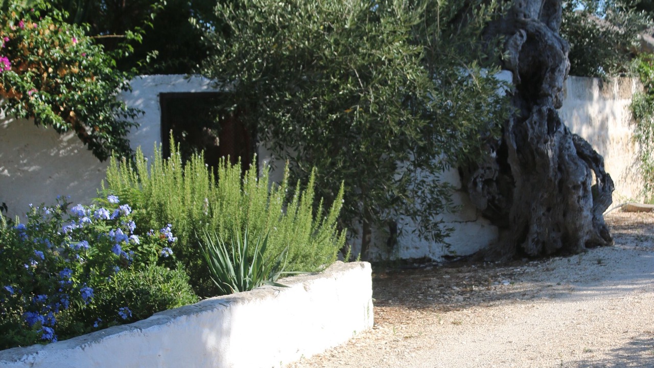 Photo of Outdoor in L'Assunta