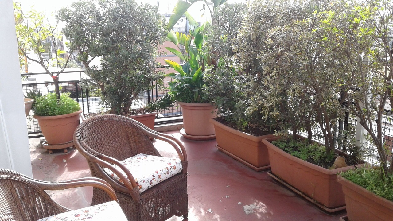 Photo of Patio Balcony in Bari City Centre