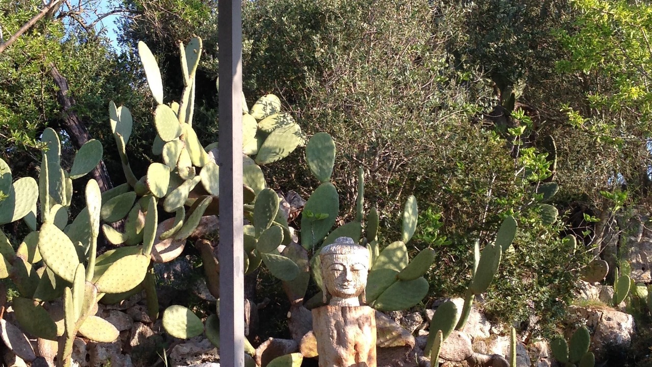 Photo of Outdoor in Ceglie Messapica