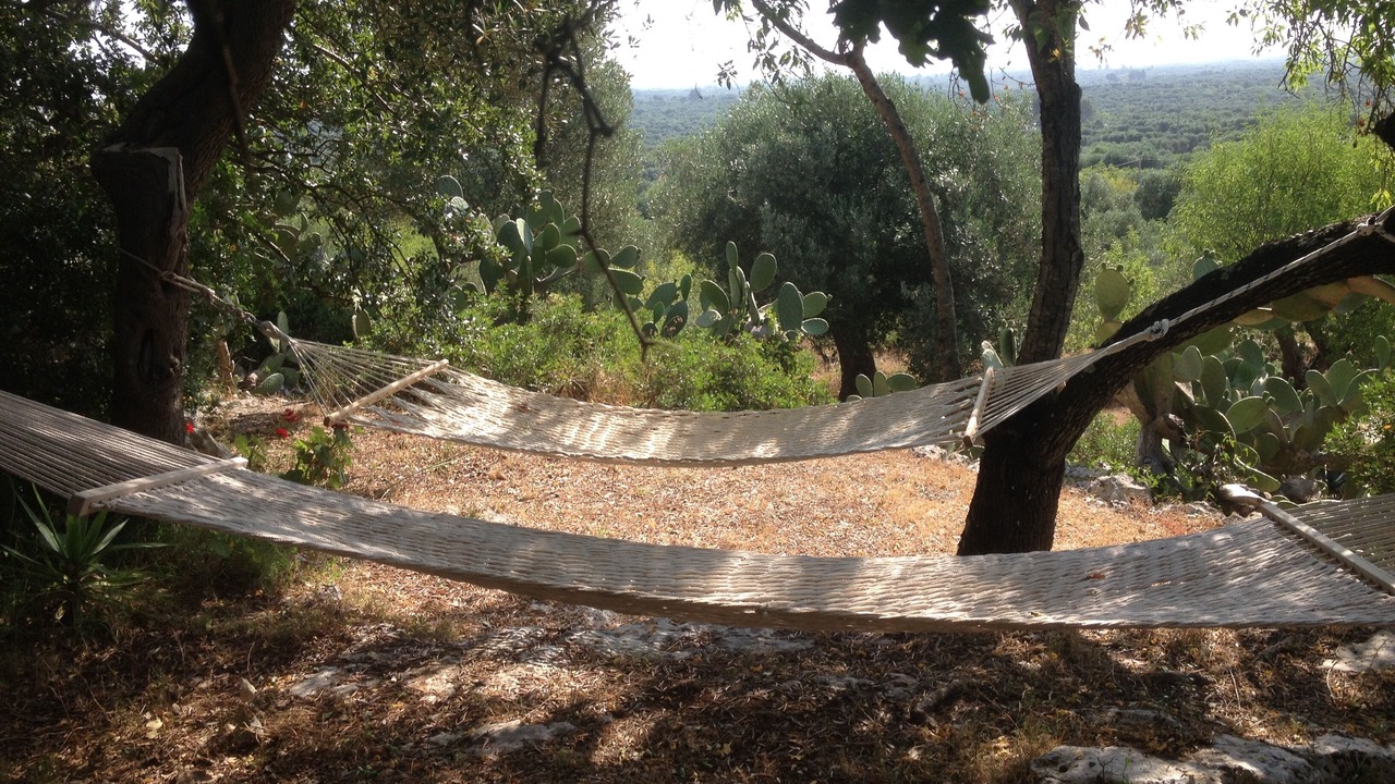 Photo of Others in Ceglie Messapica