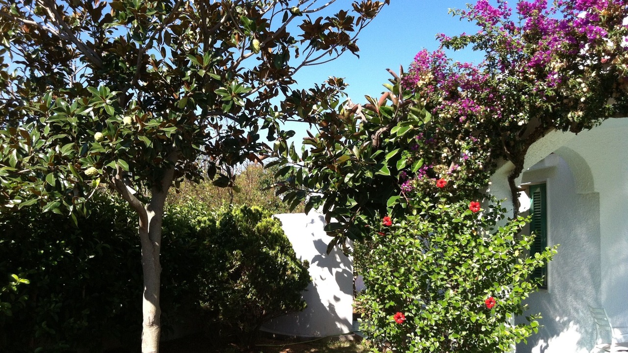 Photo of Outdoor in Villanova