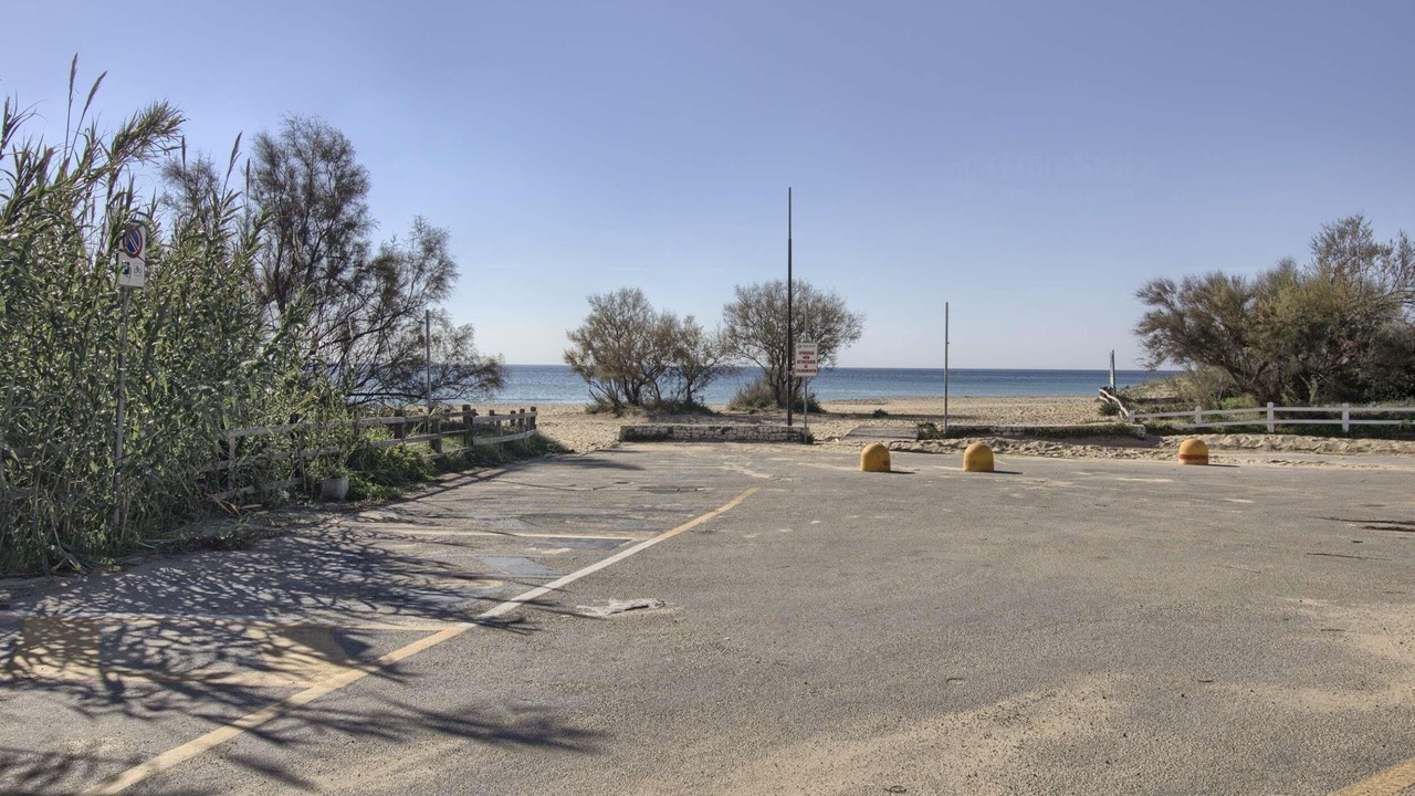 Photo of Others in Posto Vecchio
