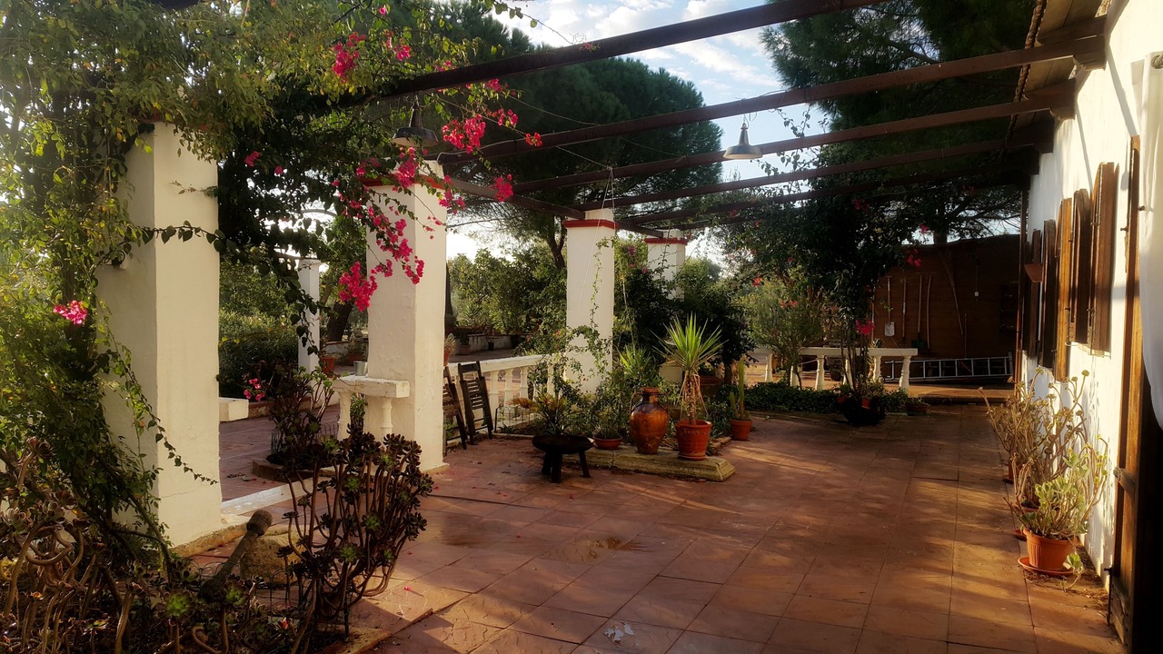 Photo of Patio Balcony in San Vito dei Normanni