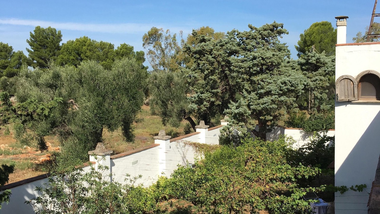Photo of Outdoor in San Vito dei Normanni