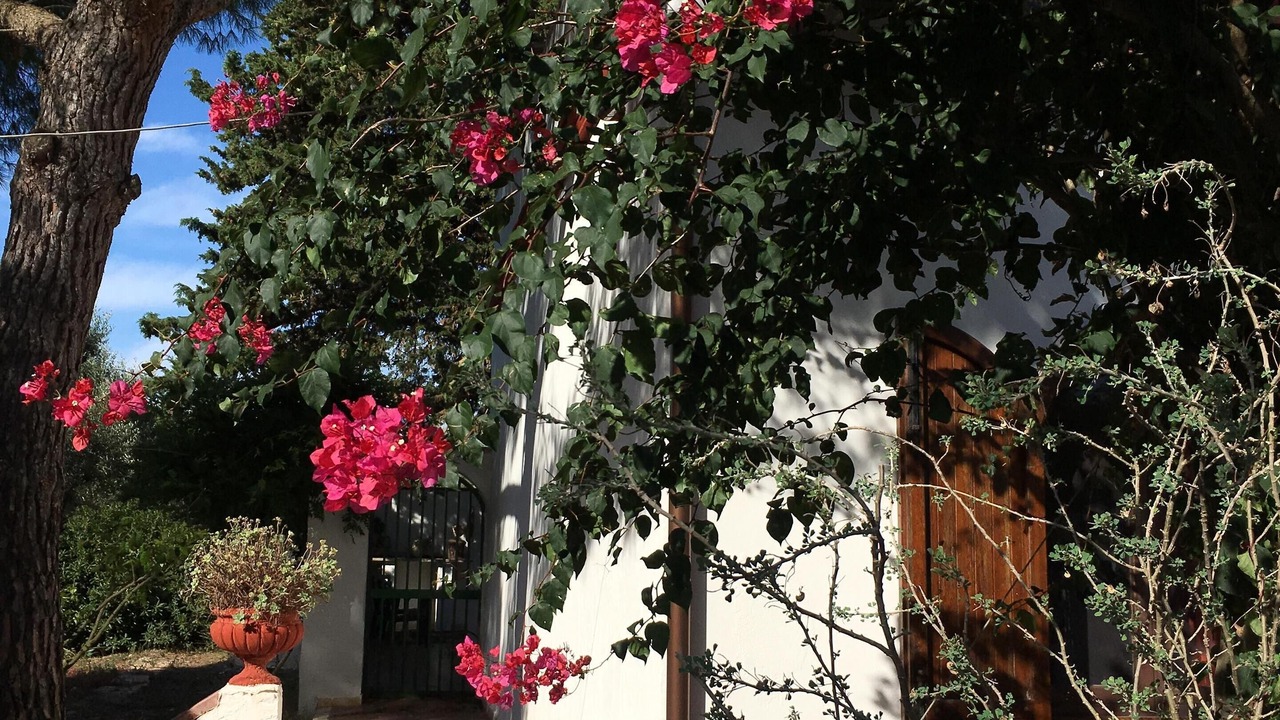 Photo of Outdoor in San Vito dei Normanni