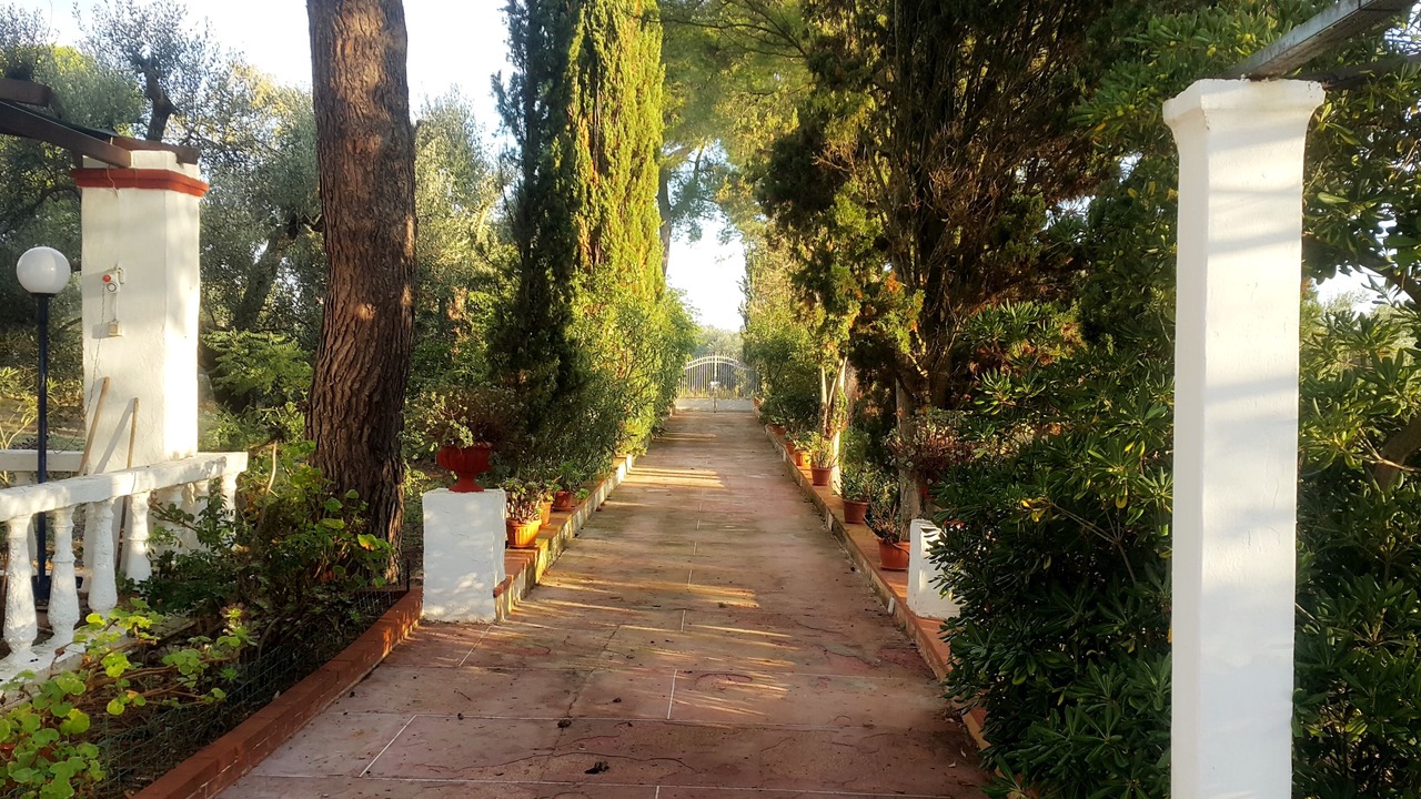 Photo of Outdoor in San Vito dei Normanni