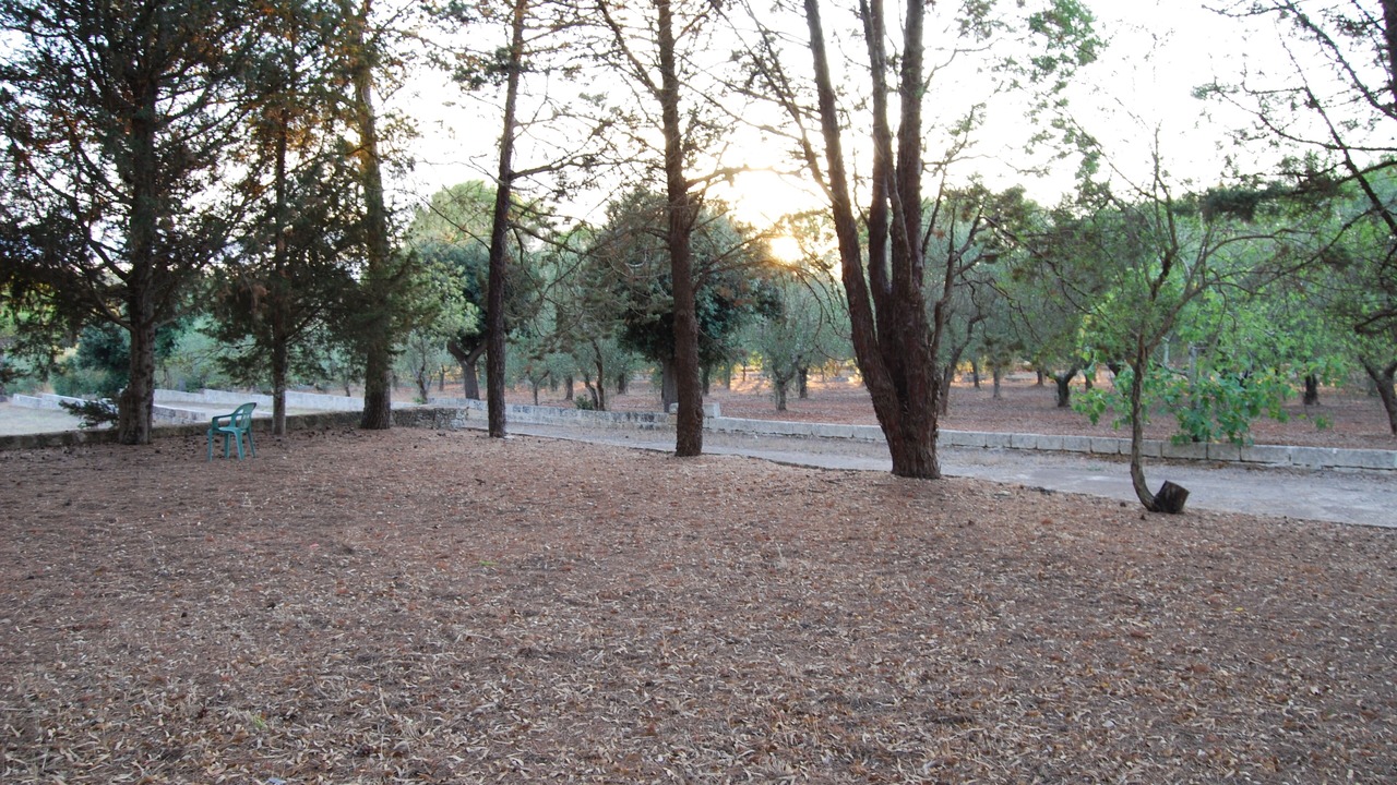 Photo of Outdoor in Alessano