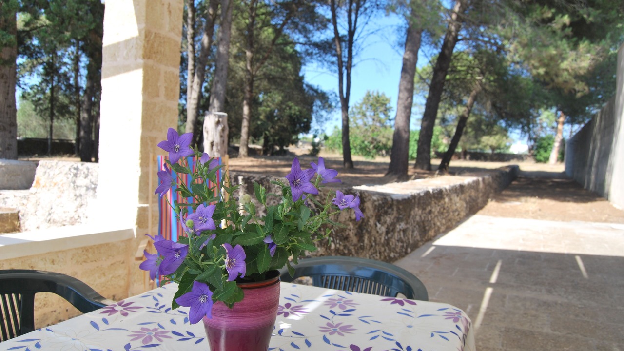 Photo of Outdoor in Alessano