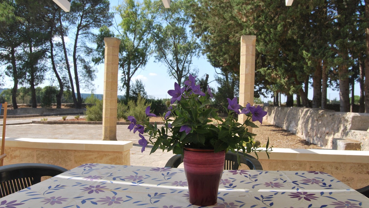 Photo of Outdoor in Alessano