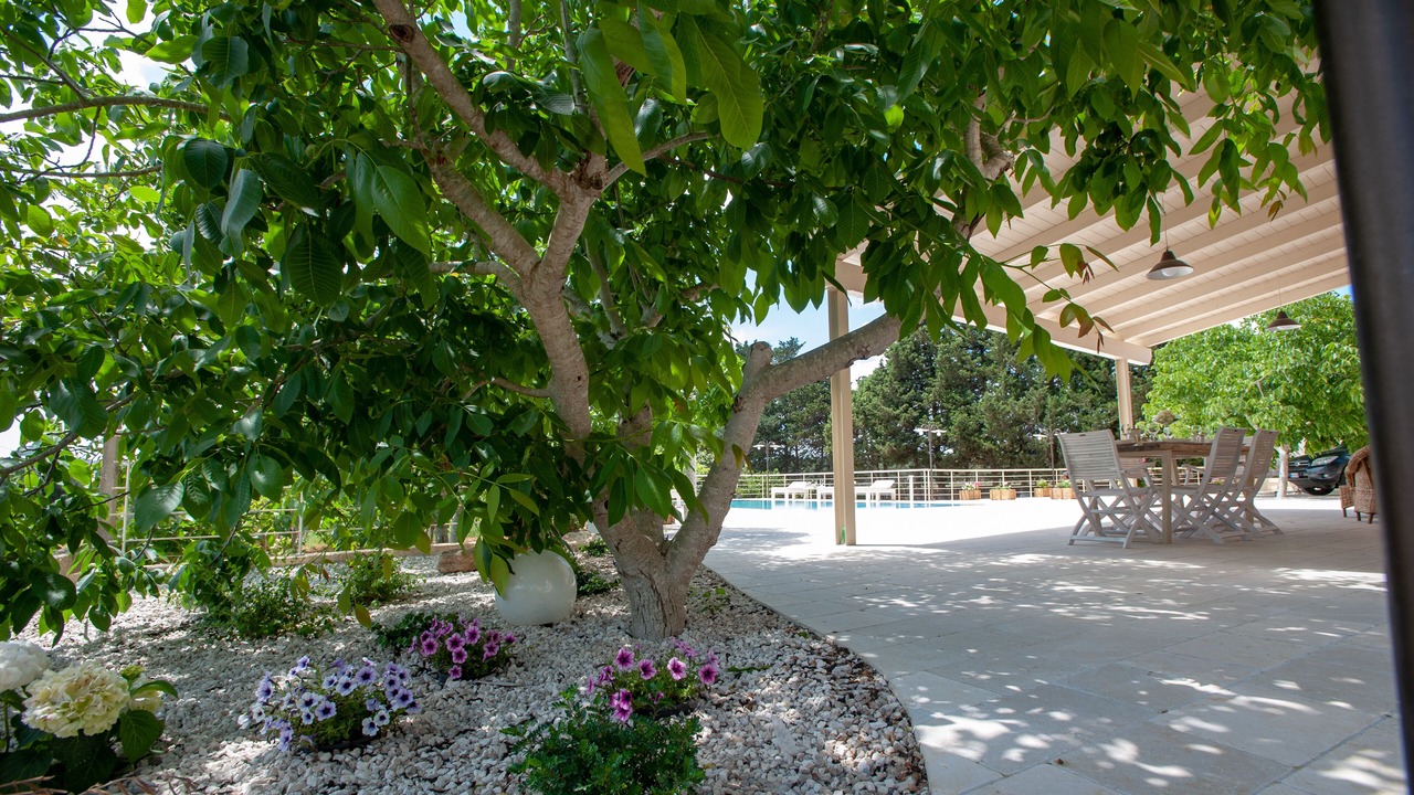 Photo of Outdoor in Alessano