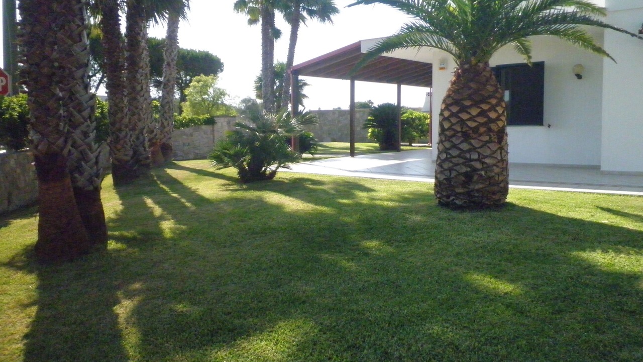 Photo of Outdoor in Torre dell'Orso