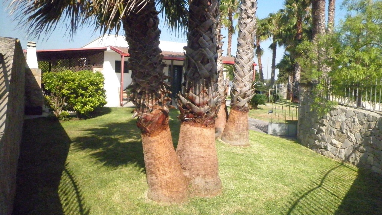 Photo of Outdoor in Torre dell'Orso