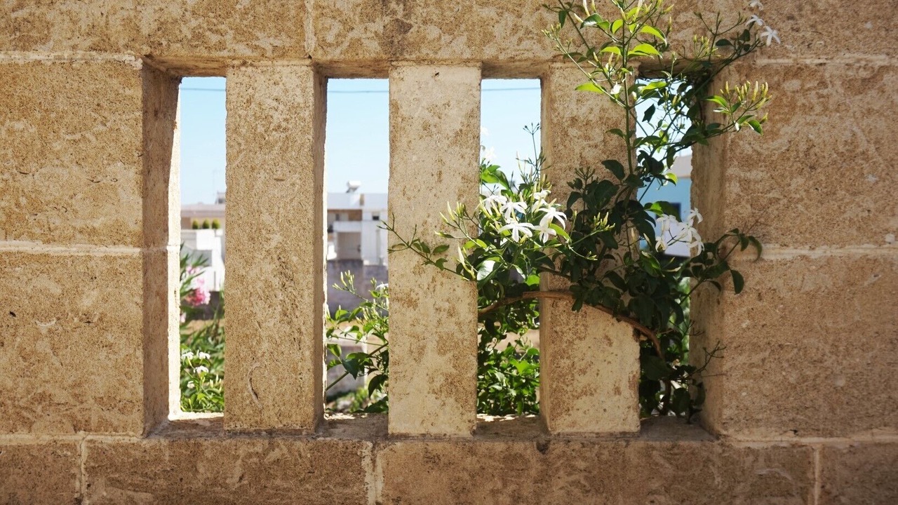 Photo of Outdoor in Torre Pali