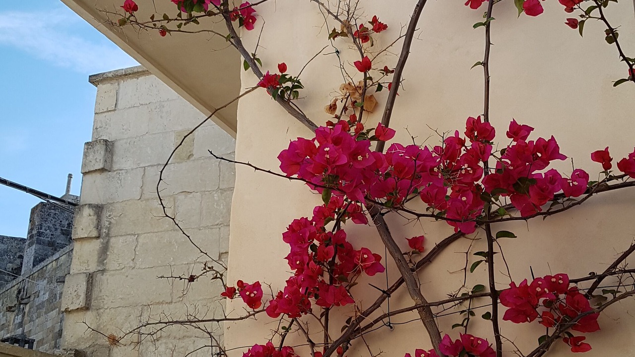 Photo of Outdoor in Bagnolo del Salento