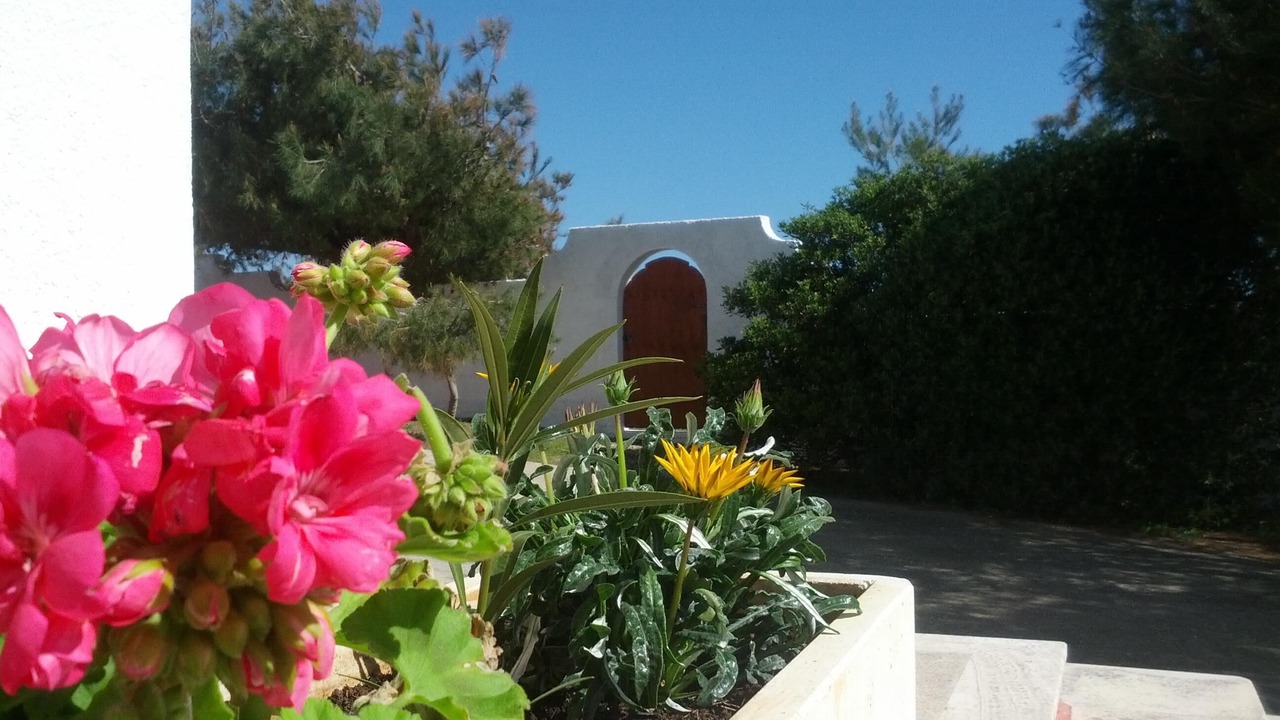 Photo of Outdoor in Marina di Felloniche