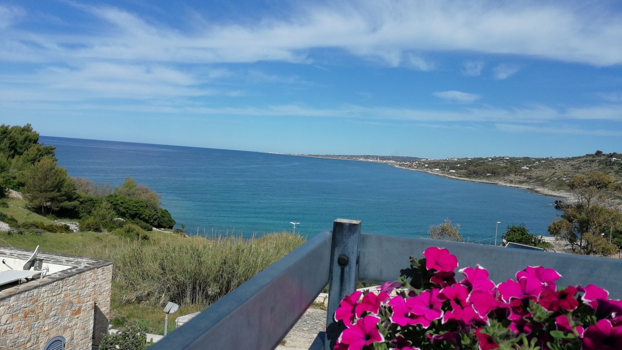 Photo of Outdoor in Marina San Gregorio