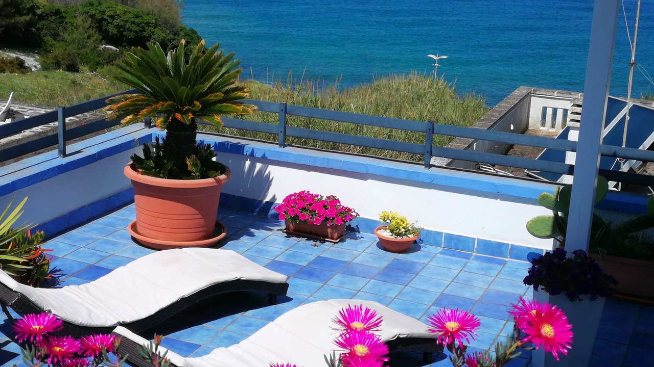 Photo of Outdoor in Marina San Gregorio