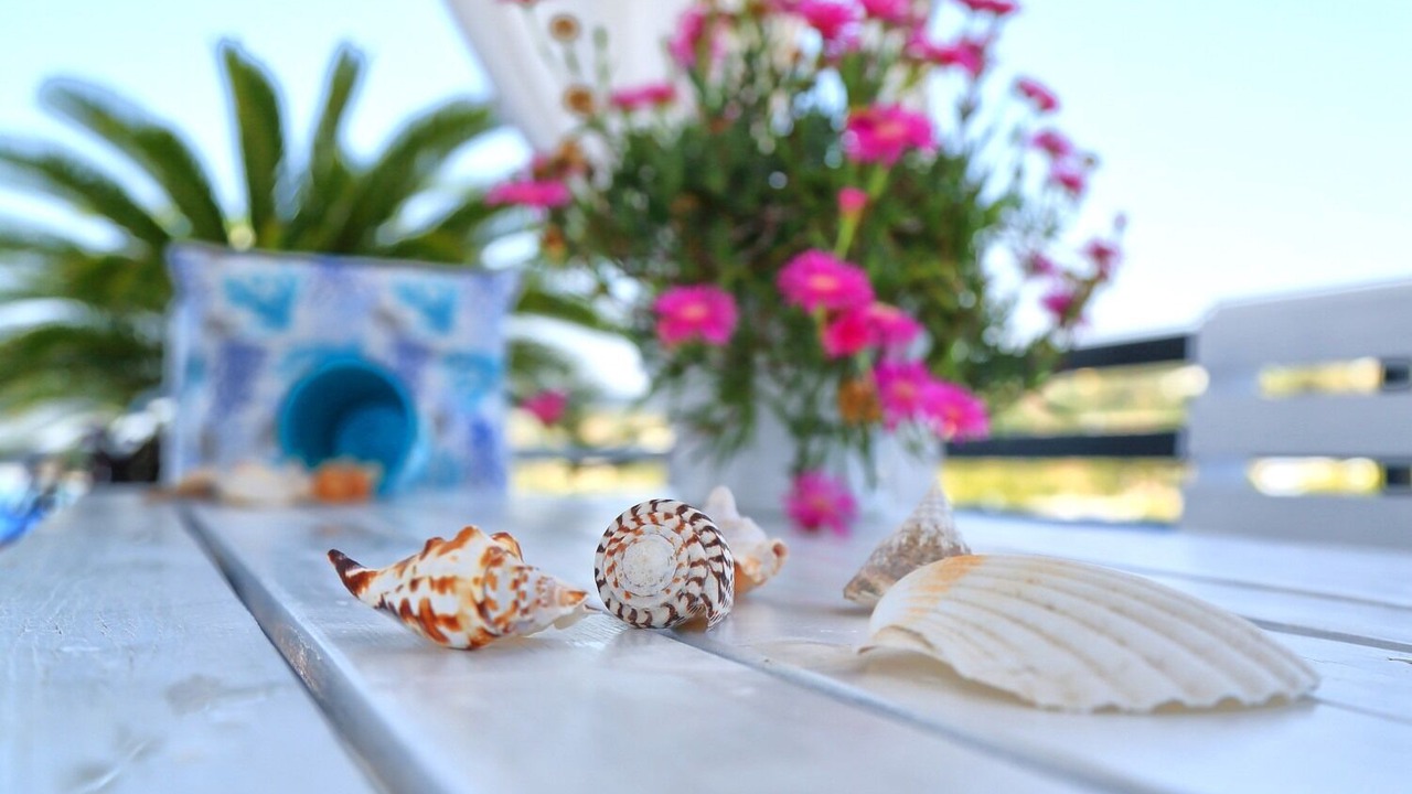 Photo of Others in Marina San Gregorio