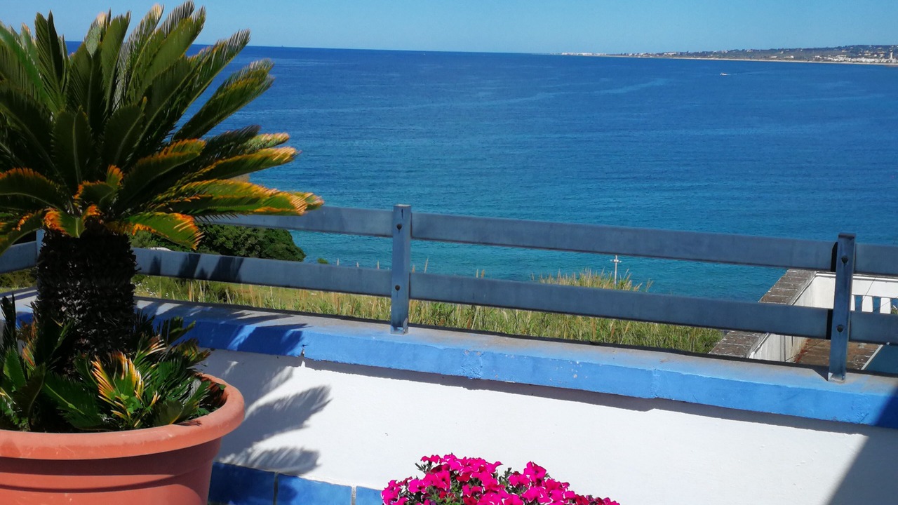 Photo of Outdoor in Marina San Gregorio