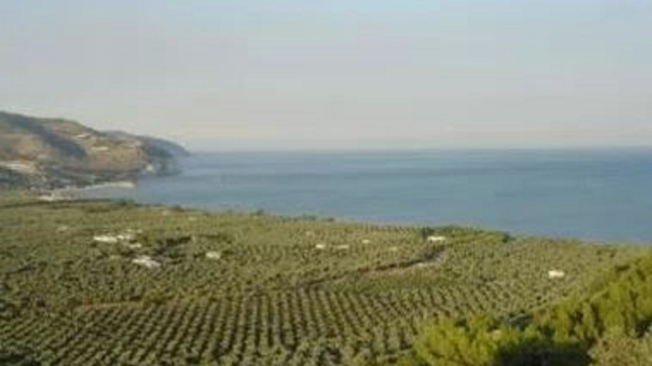 Photo of Others in Mattinata