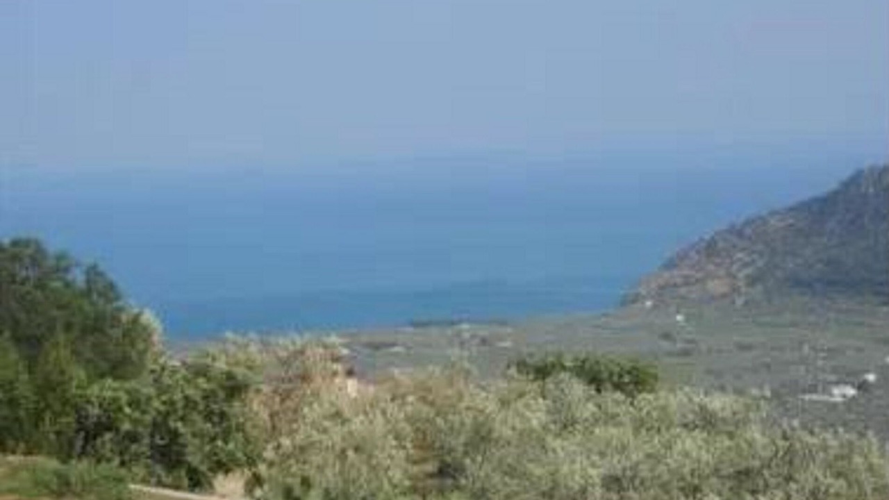 Photo of Others in Mattinata