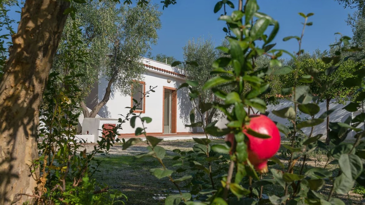 Photo of Outdoor in Mattinata