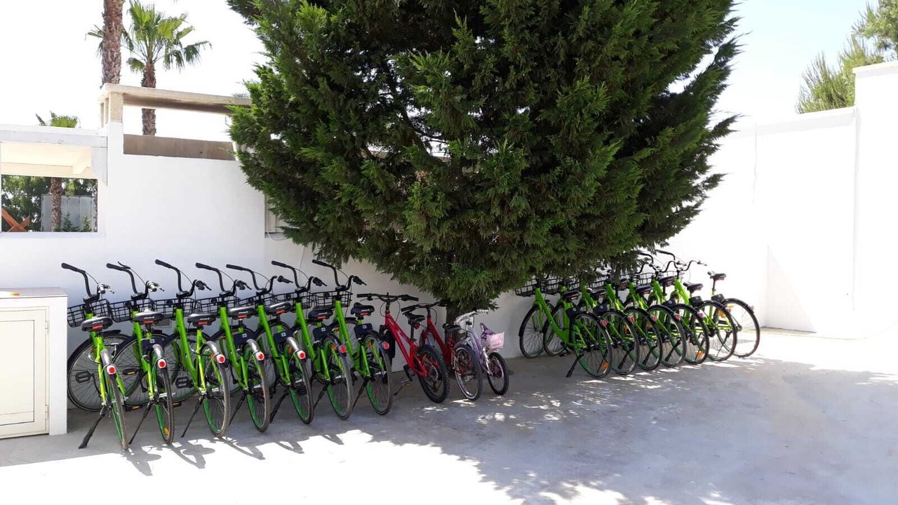 Photo of Outdoor in Torre San Giovanni