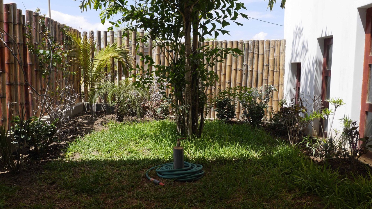 Photo of Outdoor in Vichayito