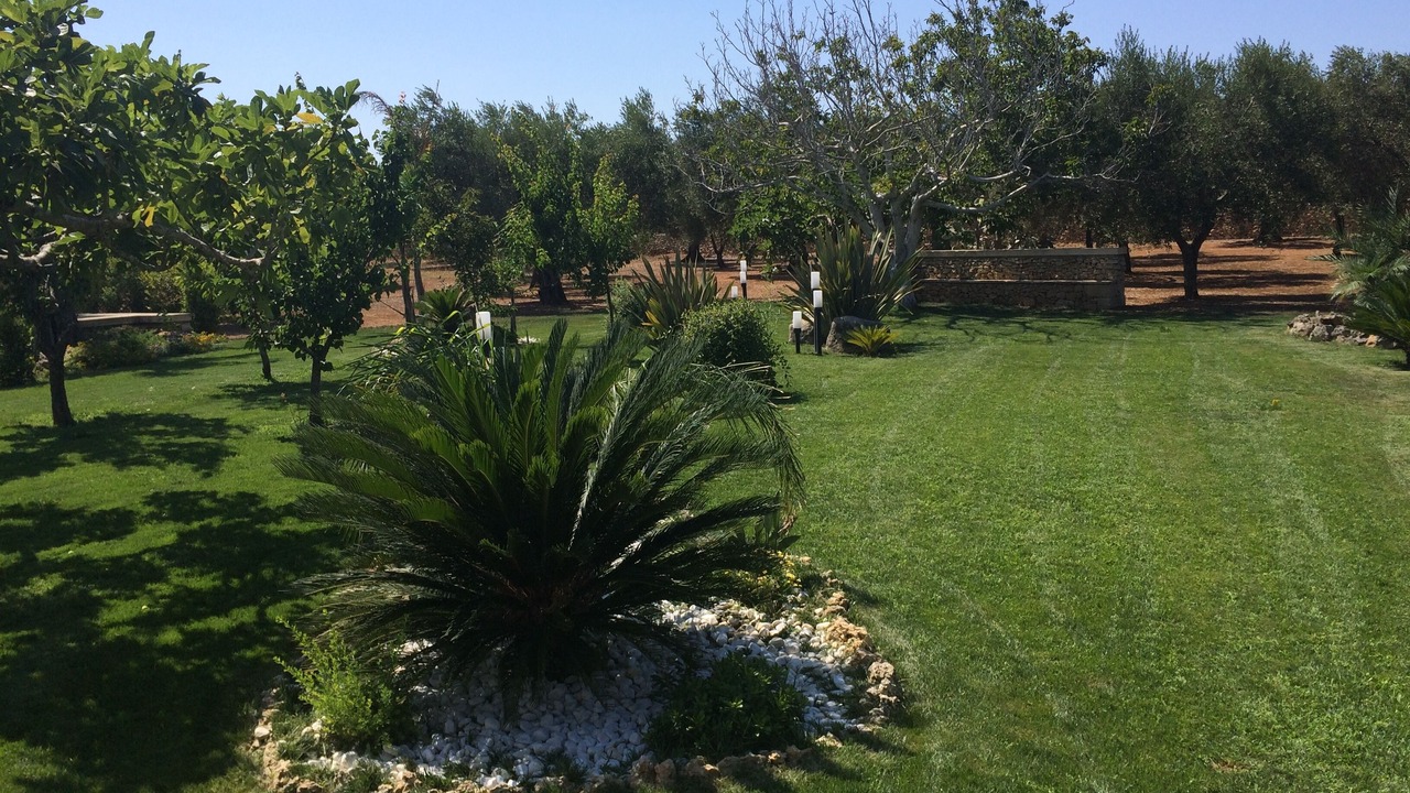 Photo of Outdoor in Borgagne