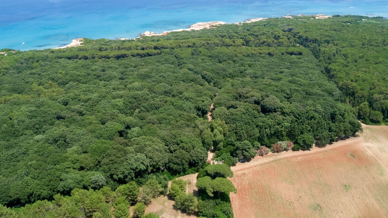 Photo of Outdoor in Conca Specchiulla
