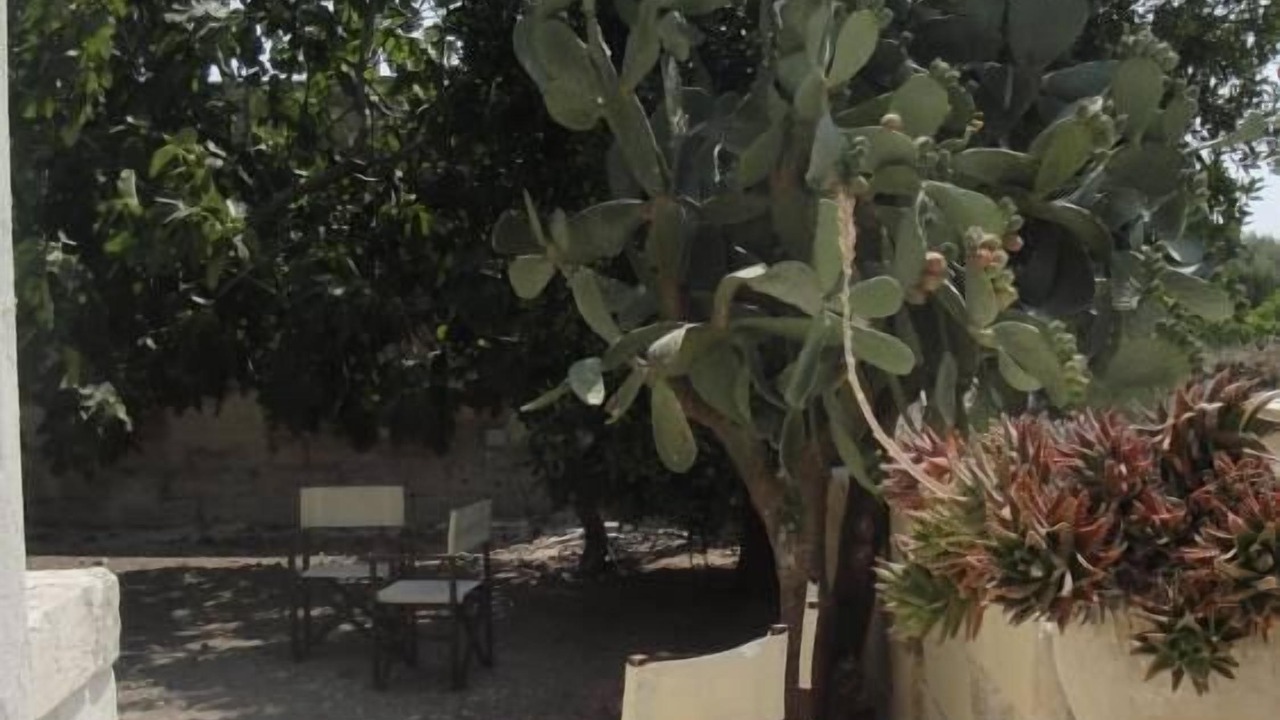 Photo of Patio Balcony in Conca Specchiulla