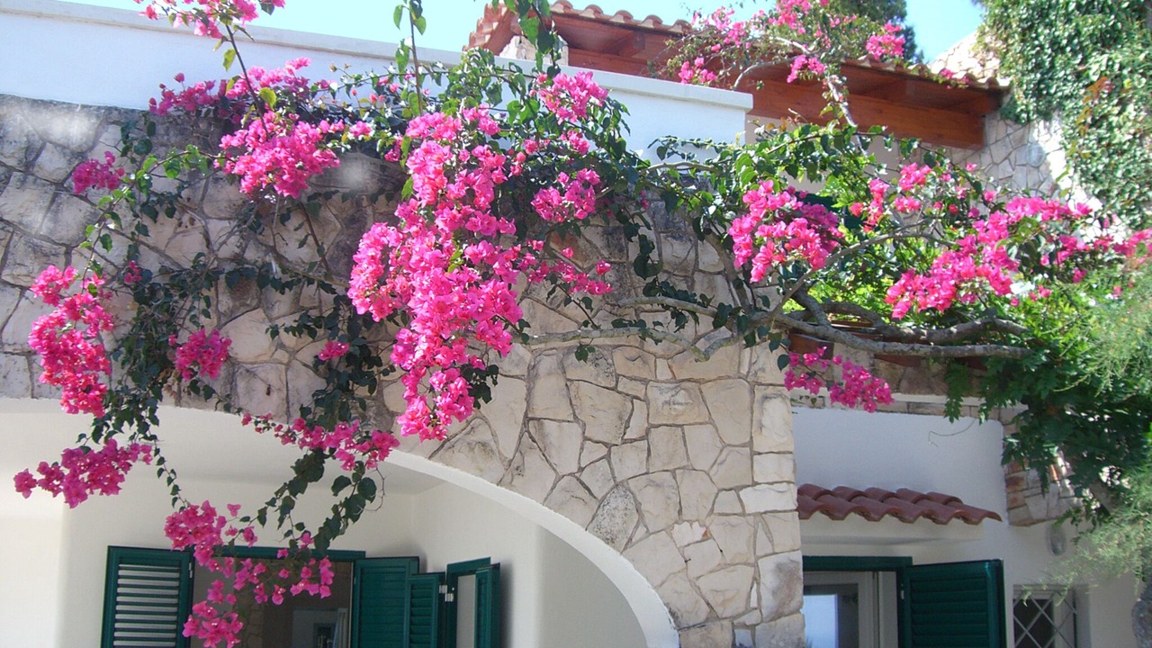 Photo of Outdoor in Marina di Novaglie