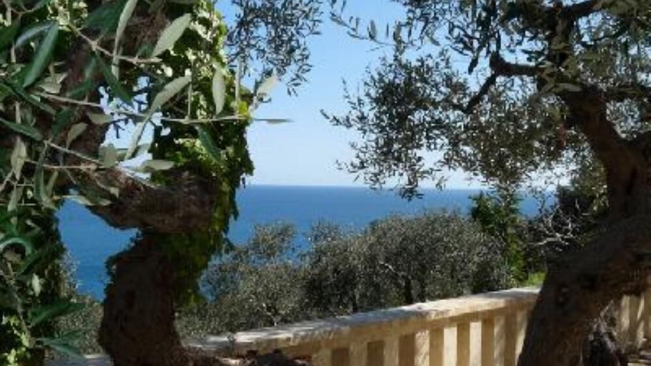 Photo of Outdoor in Marina di Novaglie