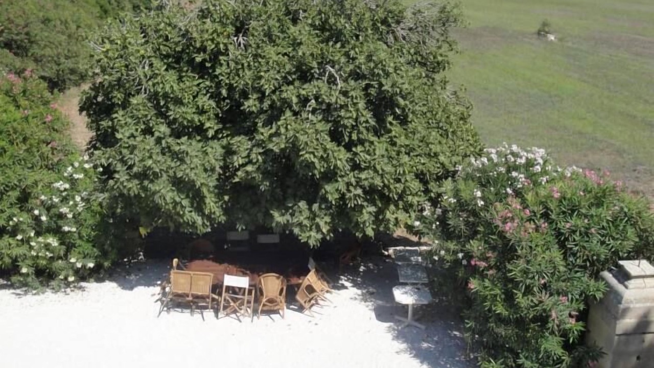 Photo of Outdoor in Conca Specchiulla